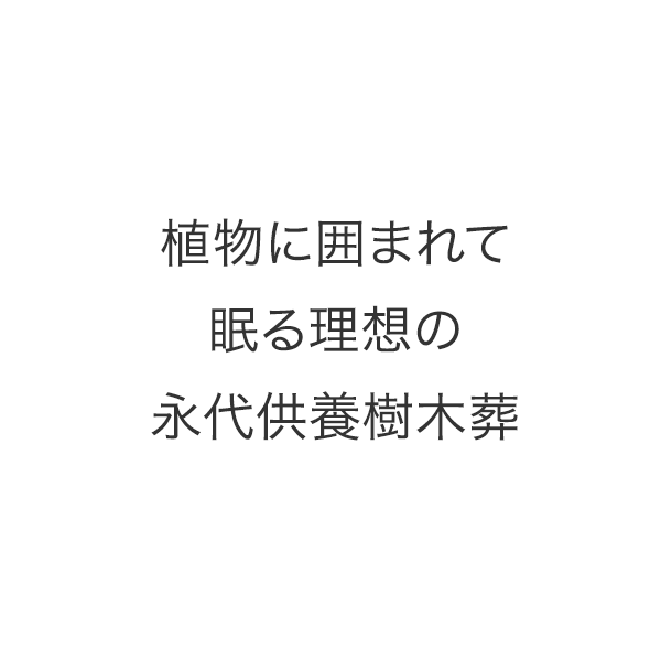 倉敷屈指の桜の名所 種松山で桜の下に眠る 理想の樹木葬