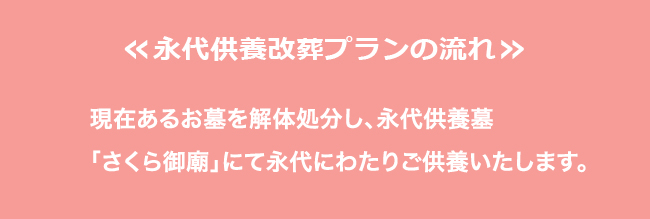 永代供養改葬プランの流れ